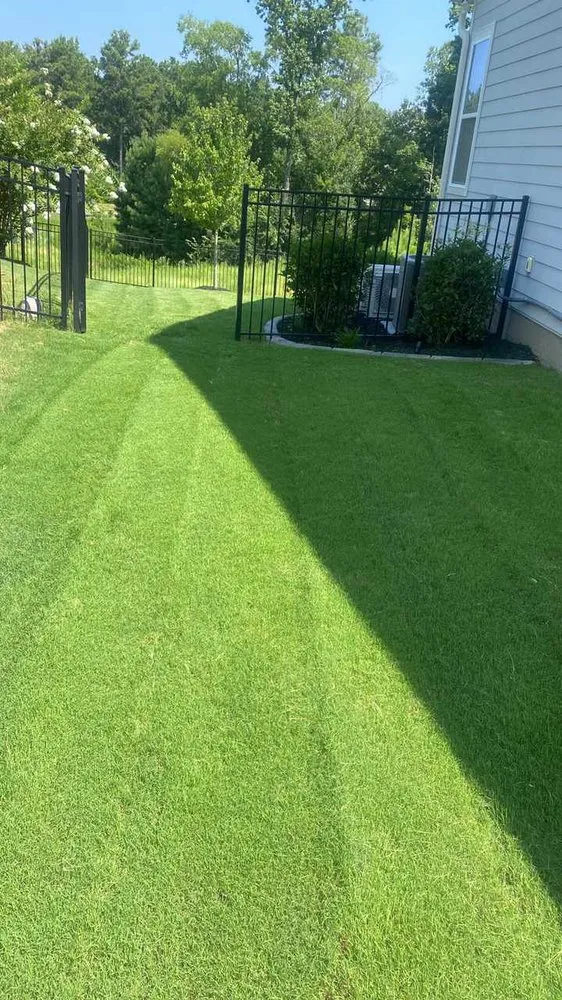 Local yard maintenance in Rock Hill, SC by Land Boys Lawn And Land Care