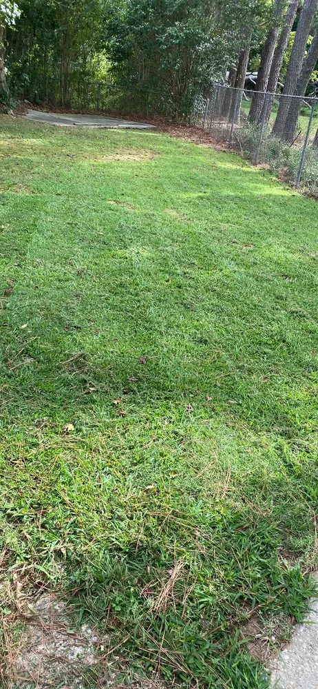 Top-rated lawn care service experts serving Rock Hill, SC - Land Boys Lawn And Land Care