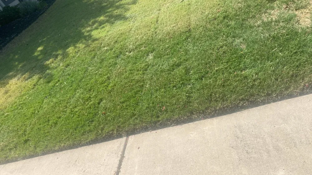 Custom outdoor landscaping in Rock Hill, SC - Land Boys Lawn And Land Care