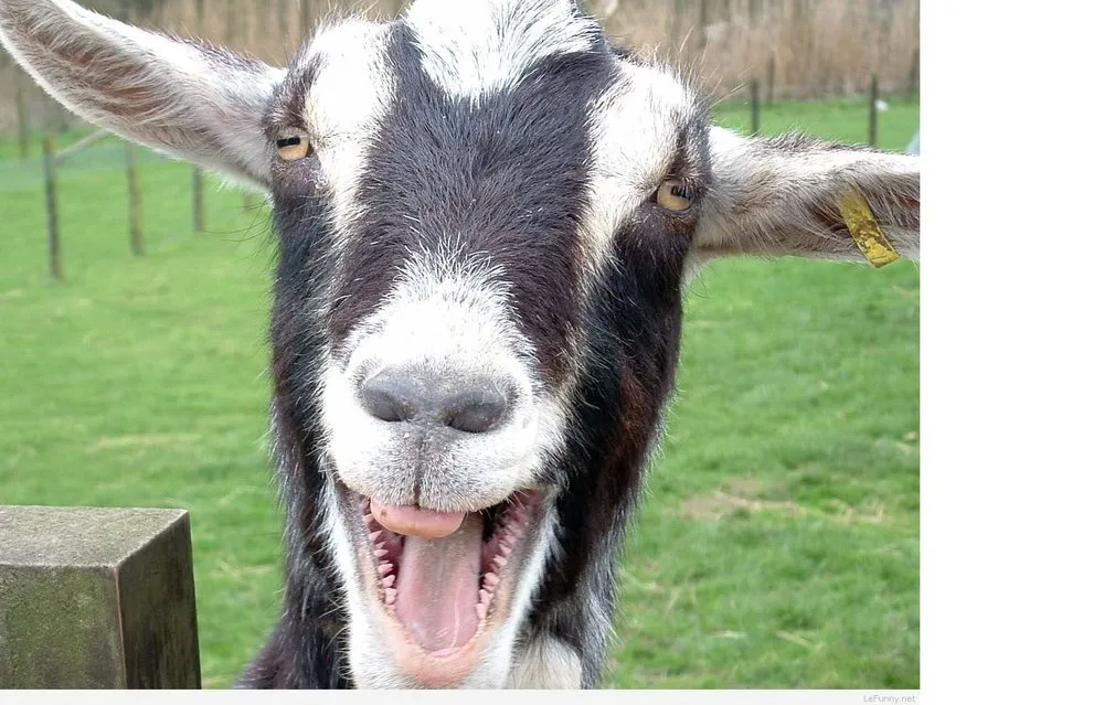 Top-rated landscape design near you in Tucson, AZ by Land Brush and Weeds Removal