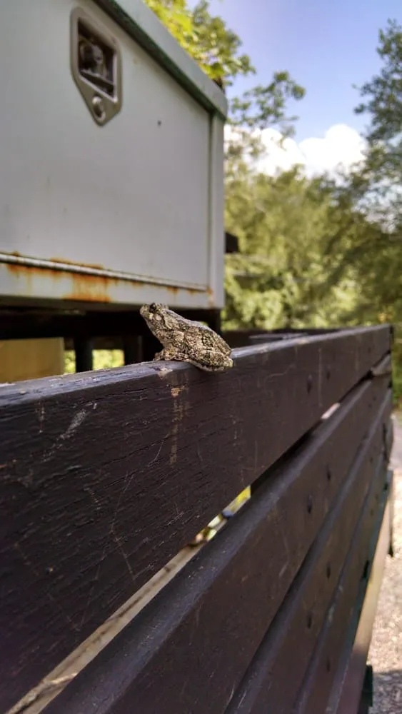 Expert lawn mowing service in Marshfield, MA - Land Care Associates