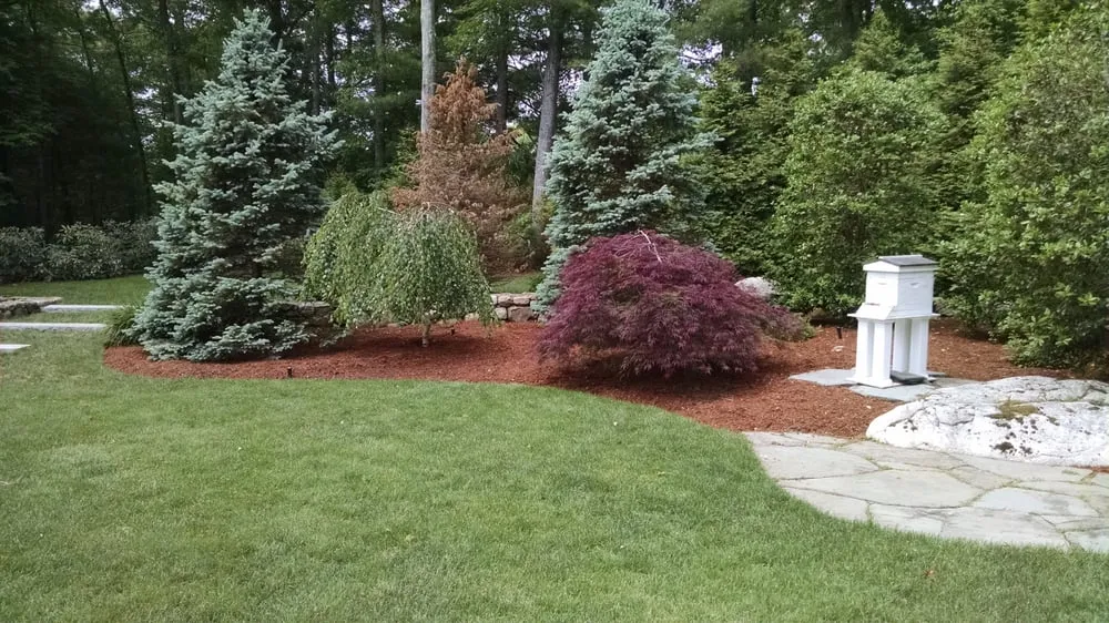 Trusted yard maintenance experts serving Marshfield, MA - Land Care Associates