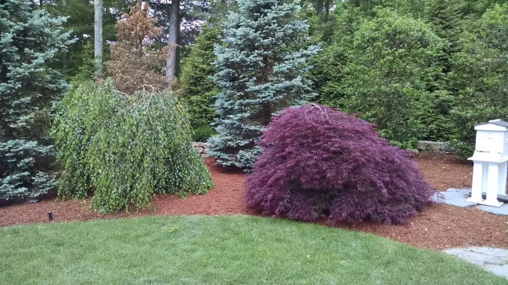 Affordable residential landscaping in Marshfield, MA by Land Care Associates