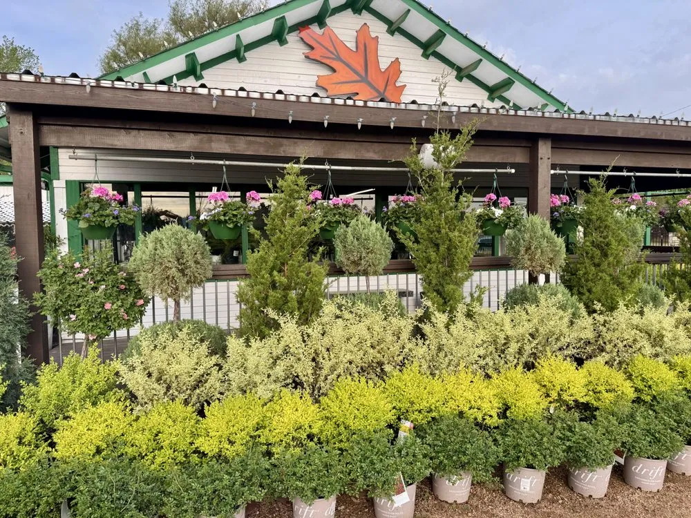 Top-rated lawn mowing service experts serving Flower Mound, TX - Land Care Garden Center