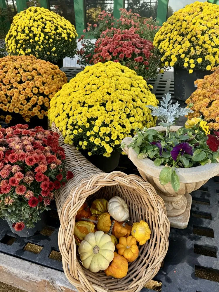 Custom outdoor landscaping for residential properties in Flower Mound, TX by Land Care Garden Center