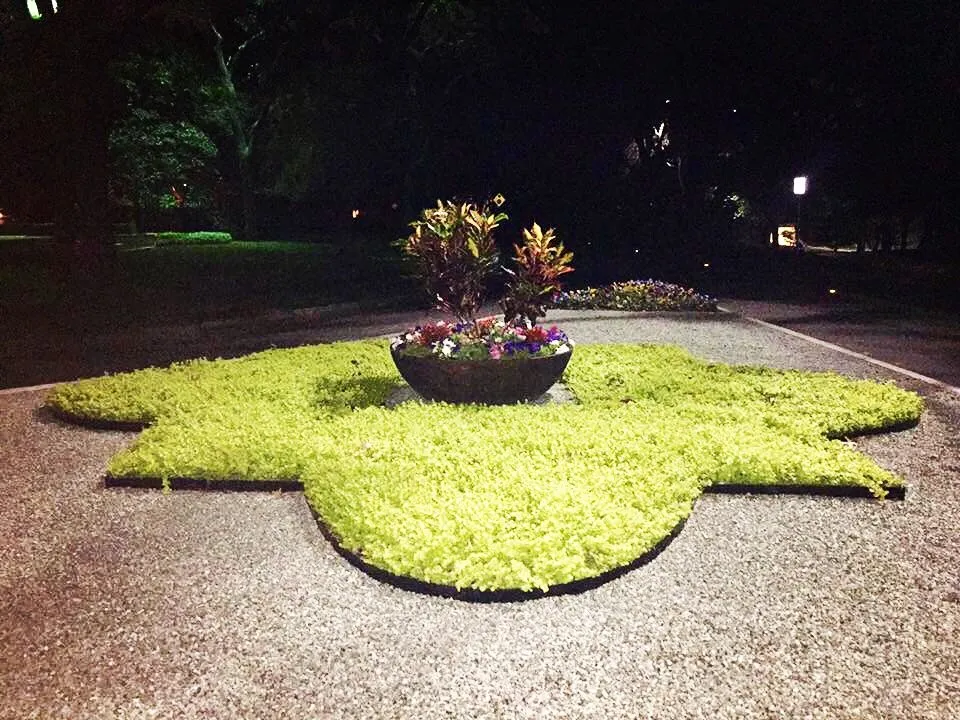 Trusted lawn care service for outdoor upgrades in Flower Mound, TX by Land Care Garden Center