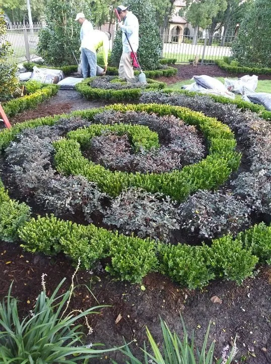 Top-rated yard cleanup service for beautiful yards in Flower Mound, TX by Land Care Garden Center