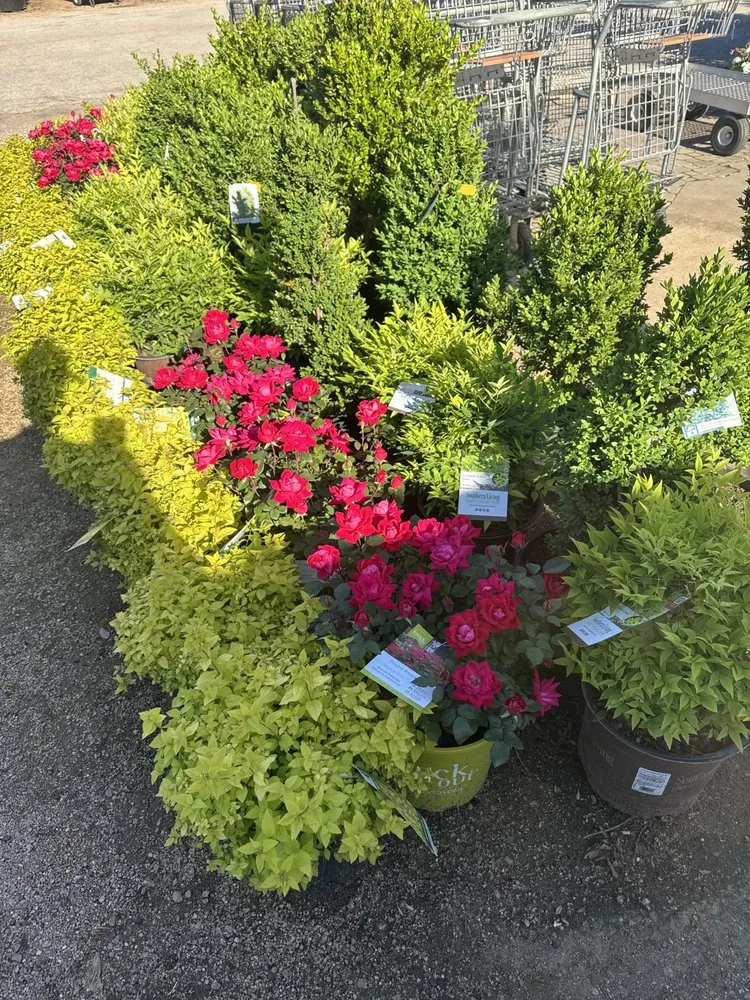 Professional residential landscaping for beautiful yards in Flower Mound, TX by Land Care Garden Center