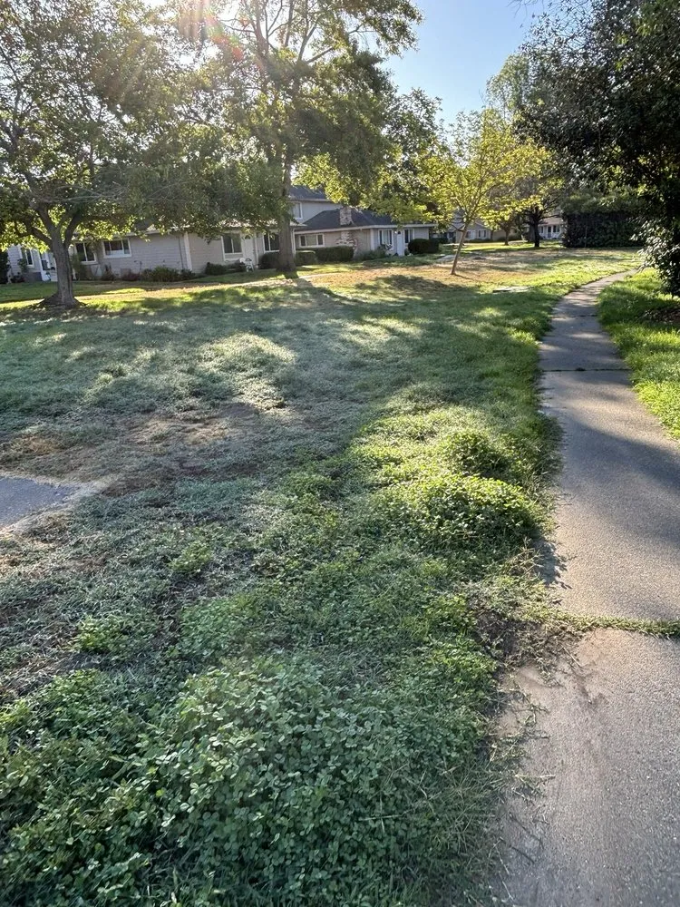 Reliable lawn mowing service in Windsor, CA by Land Care