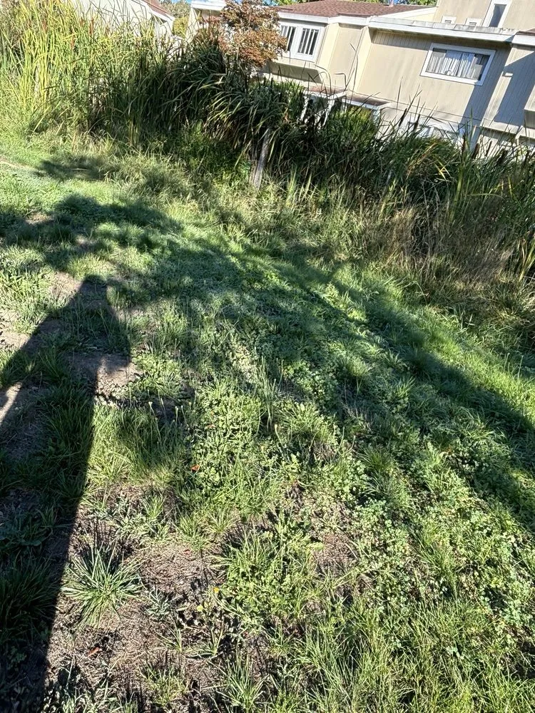 Trusted landscape design in Windsor, CA - Land Care