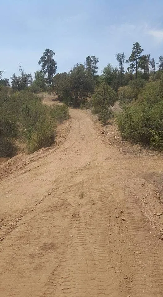 Trusted yard maintenance in Chino Valley, AZ - Land Caster Landscapes