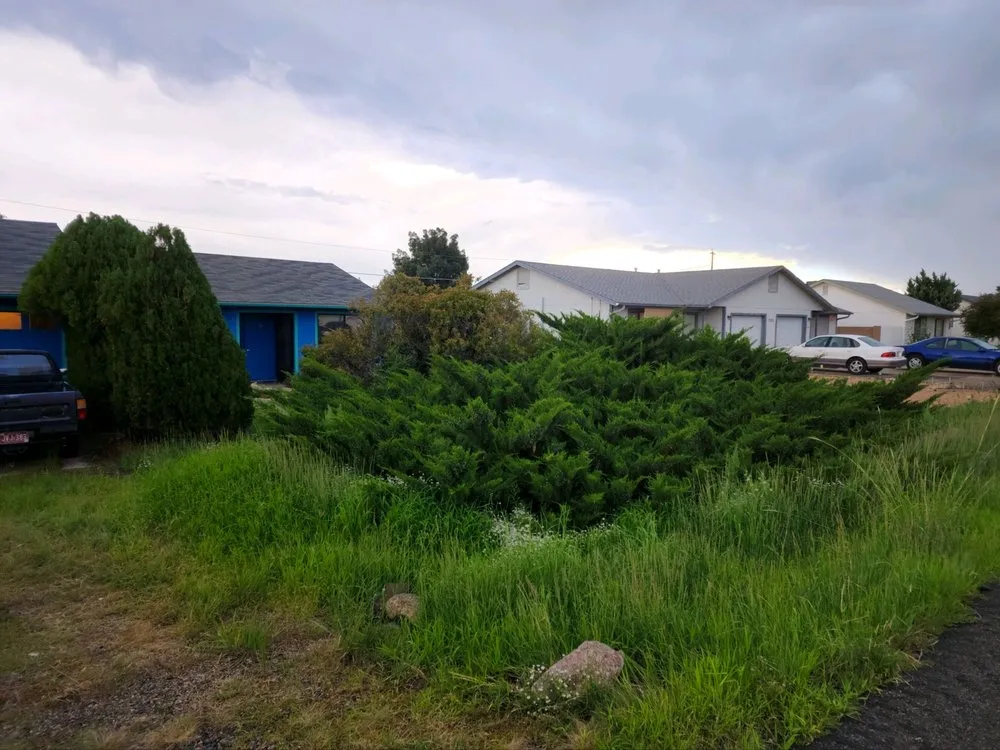 Top-rated yard maintenance for beautiful yards across Chino Valley, AZ - Land Caster Landscapes