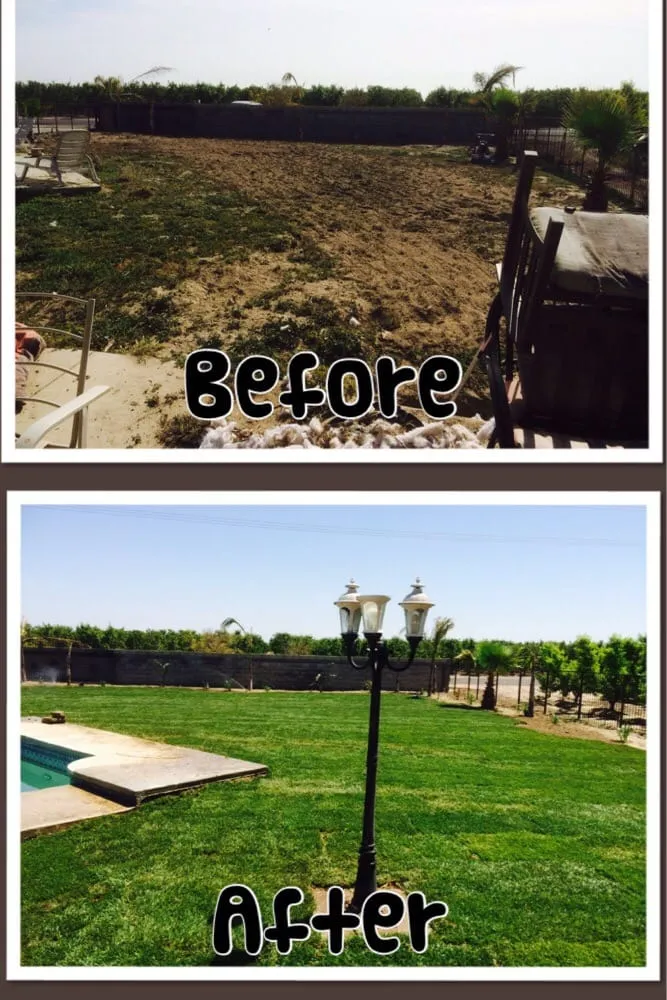 Local outdoor landscaping for year-round maintenance in Kingsburg, CA by Land Choice Lawns