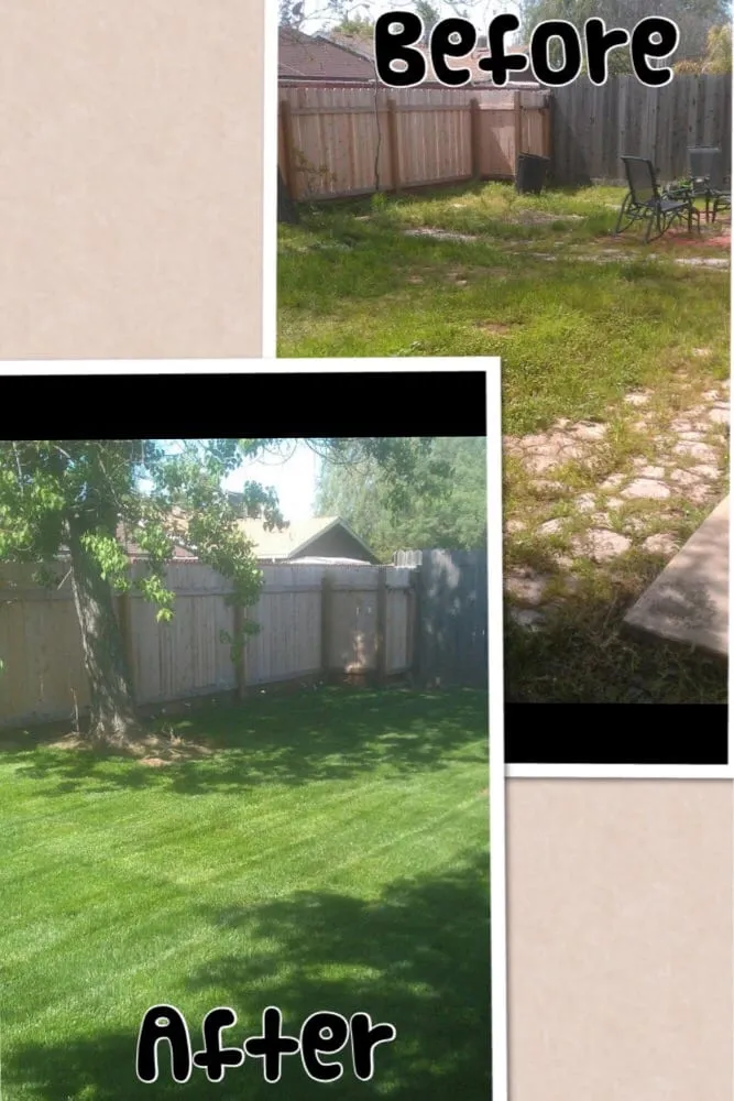 Local lawn care service in Kingsburg, CA by Land Choice Lawns
