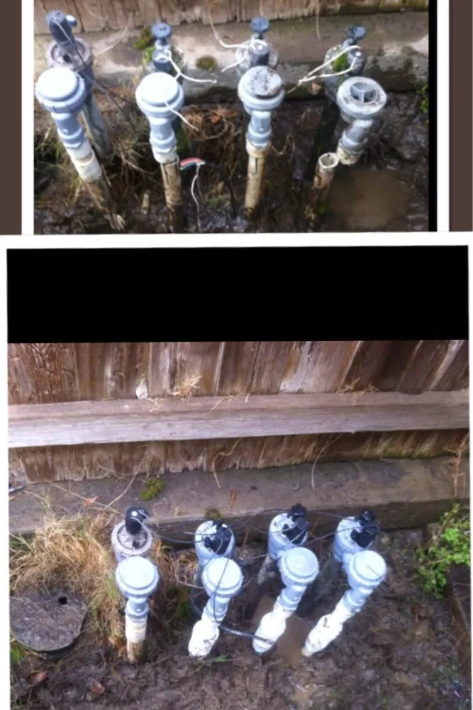 Local residential landscaping for year-round maintenance across Kingsburg, CA - Land Choice Lawns