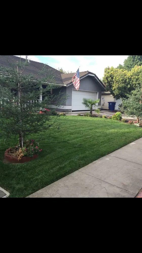 Professional residential landscaping in Kingsburg, CA by Land Choice Lawns