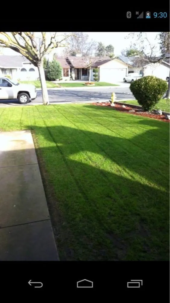 Expert garden landscaping for outdoor upgrades across Kingsburg, CA - Land Choice Lawns