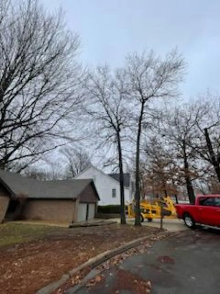 Professional outdoor landscaping for residential properties across Marshfield, MO - Land Clearing