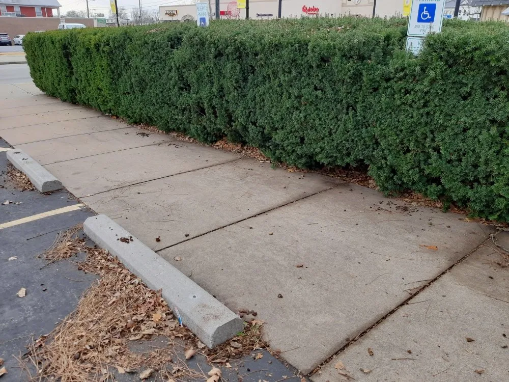 Trusted landscape design for residential properties in Marshfield, MO by Land Clearing