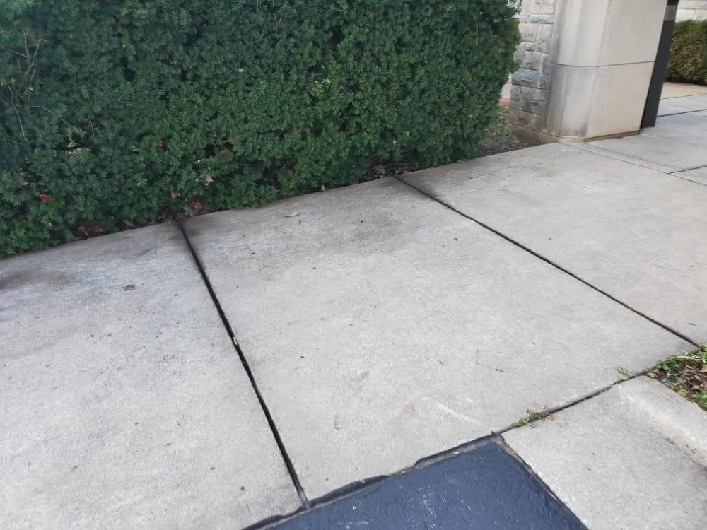 Professional outdoor landscaping experts serving Marshfield, MO - Land Clearing