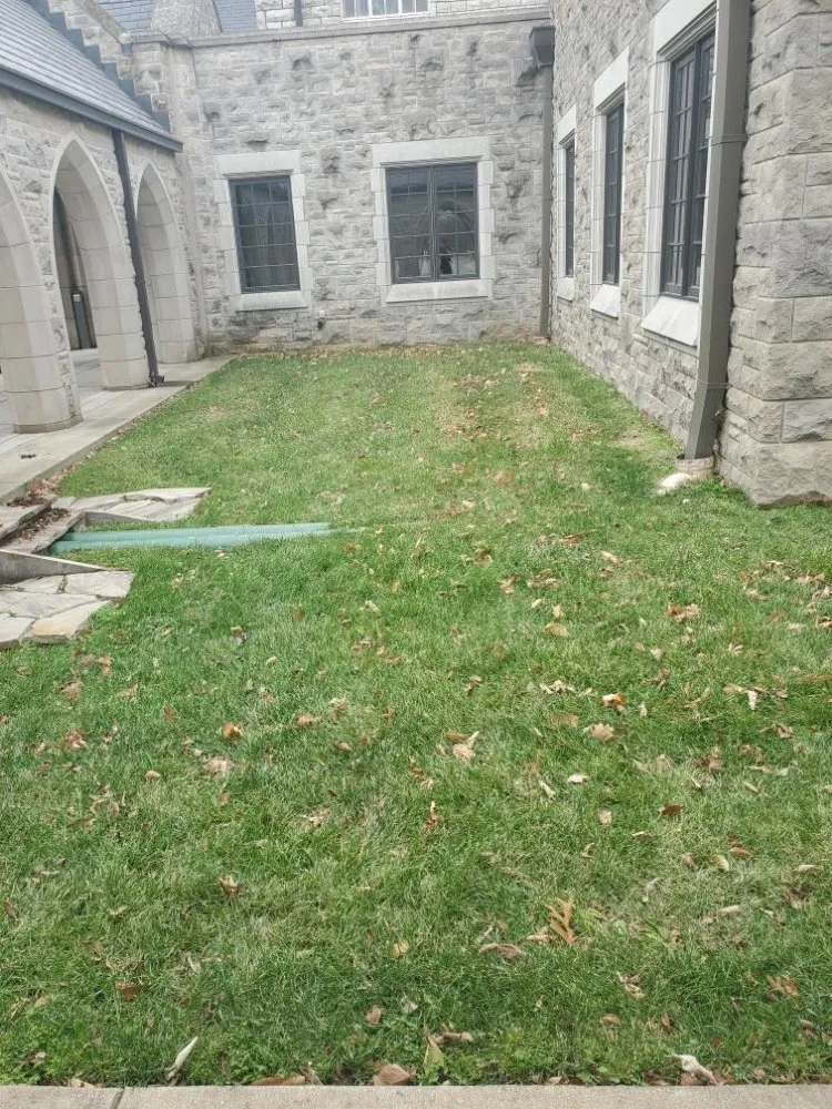 Affordable lawn mowing service experts serving Marshfield, MO - Land Clearing