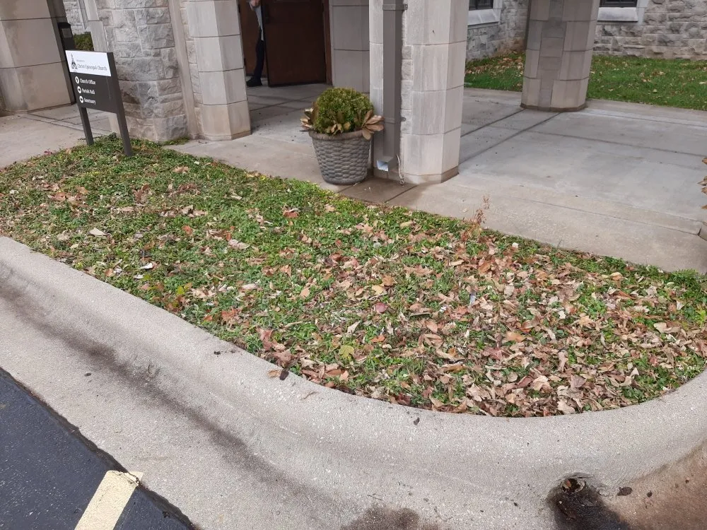 Professional residential landscaping for year-round maintenance in Marshfield, MO by Land Clearing