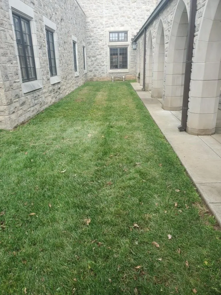 Trusted lawn care service for homes in Marshfield, MO by Land Clearing