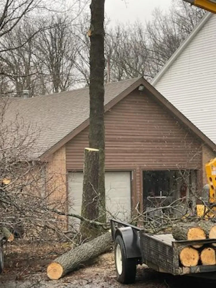 Local residential landscaping in Marshfield, MO by Land Clearing