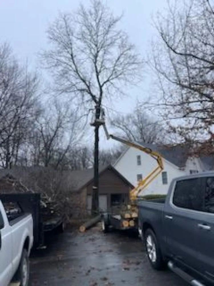 Affordable landscaping services in Marshfield, MO by Land Clearing