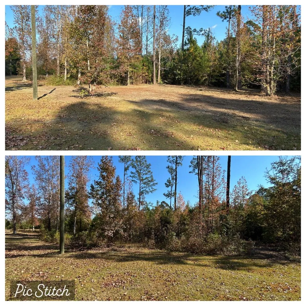 Custom yard maintenance in Springfield, GA - Land Clearing