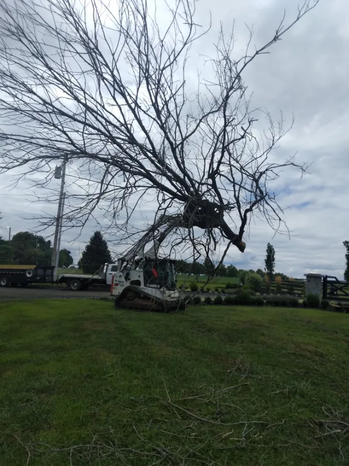 Reliable lawn care service experts serving Pennington, NJ - Land clearing, tree removal, snow removal & excavating