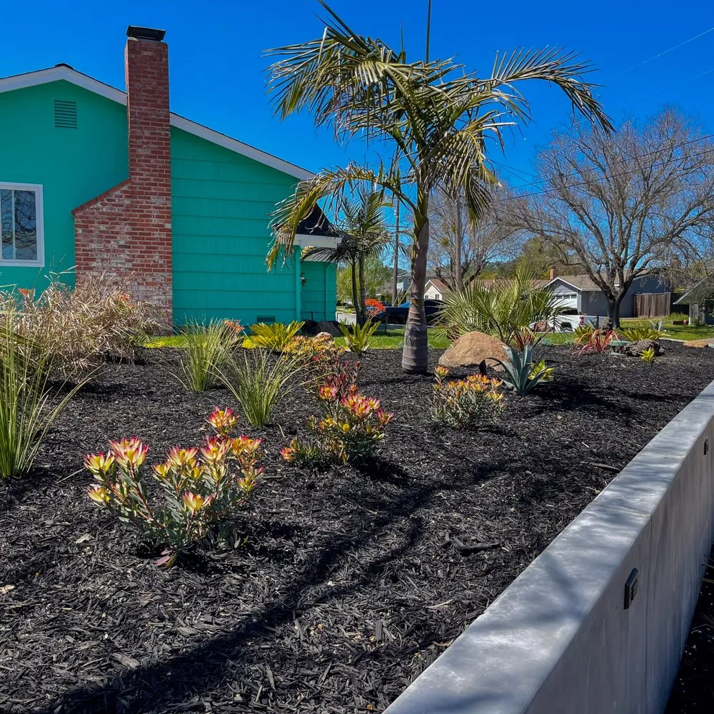 Professional landscaping services in Petaluma, CA - Land Co Environments