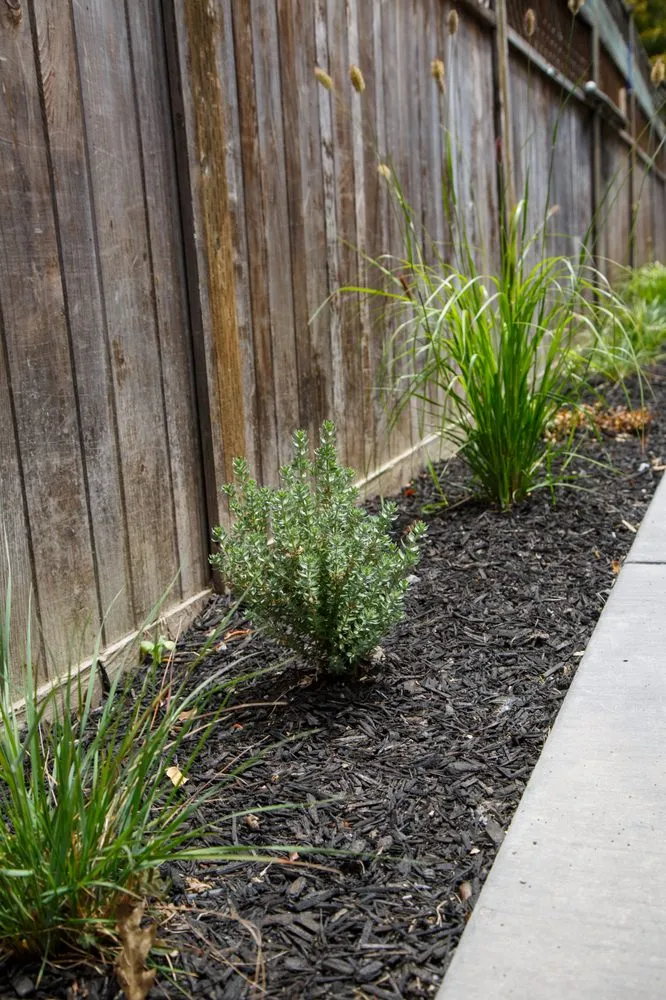 Reliable landscape installation with custom design across Petaluma, CA - Land Co Environments