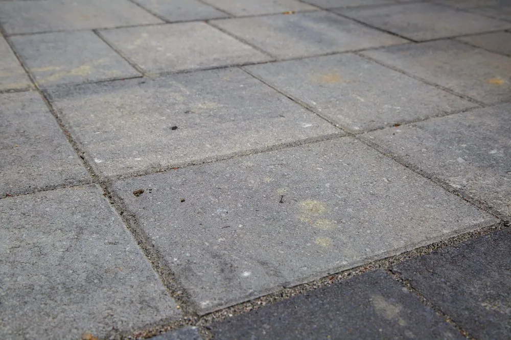 Professional outdoor landscaping in Petaluma, CA - Land Co Environments