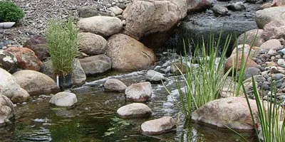 Expert landscape design experts serving Carver, MN - Land Design Associates