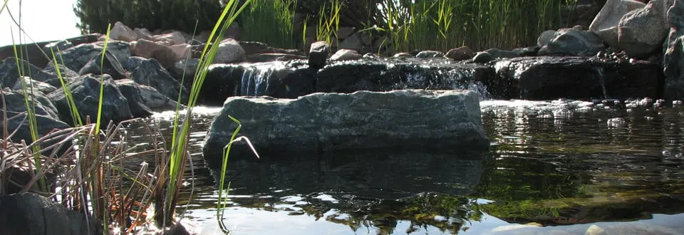 Professional landscape design in Carver, MN by Land Design Associates