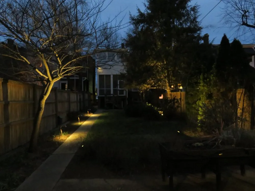 Professional yard cleanup service experts serving Mechanicsville, VA - Land Designs