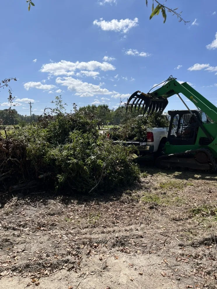 Local yard cleanup service for beautiful yards across Coward, SC - Land Development of Florence