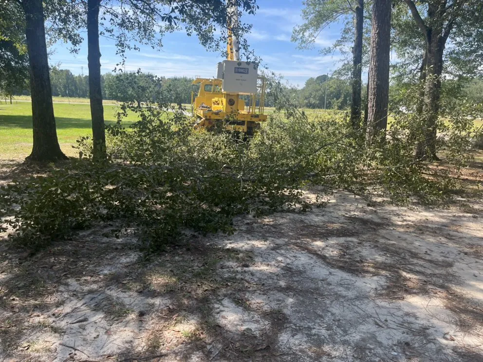 Expert landscape design in Coward, SC by Land Development of Florence
