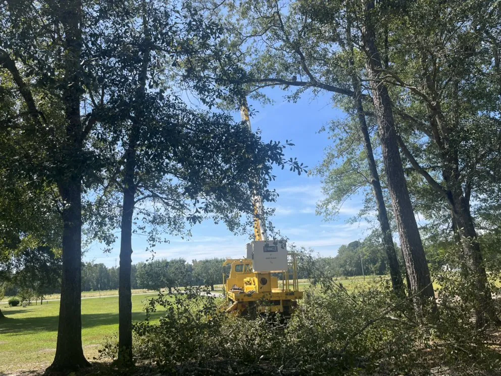 Trusted residential landscaping near you across Coward, SC - Land Development of Florence