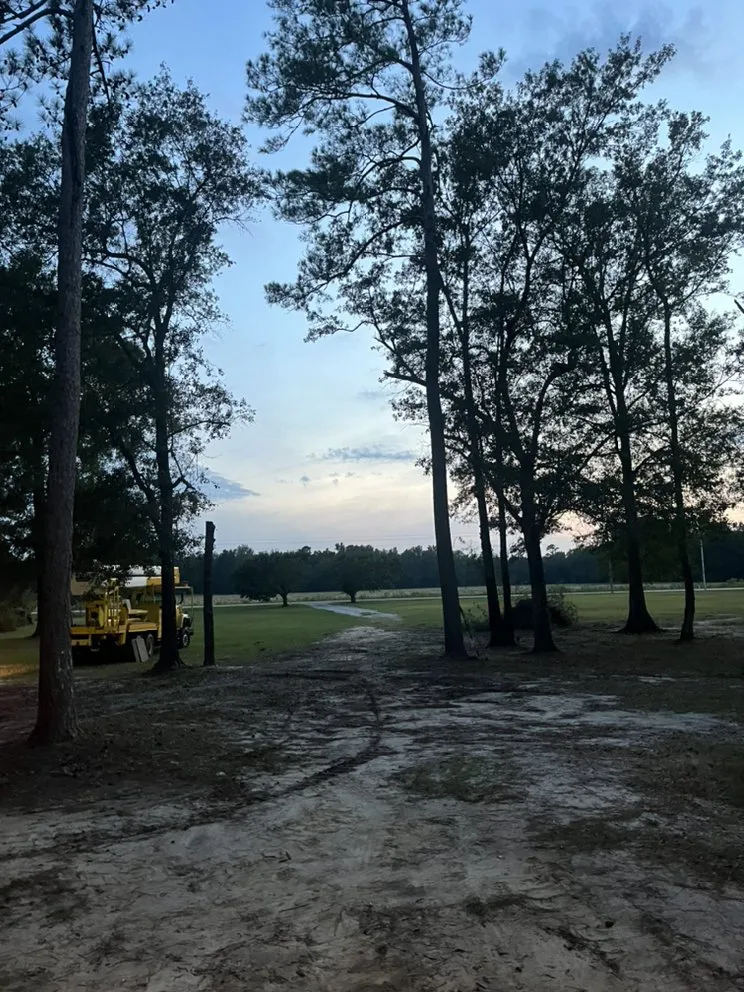 Custom residential landscaping in Coward, SC - Land Development of Florence