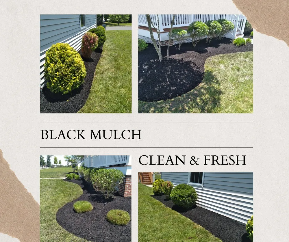 Professional landscape installation experts serving Egg Harbor City, NJ - Land Dezigning