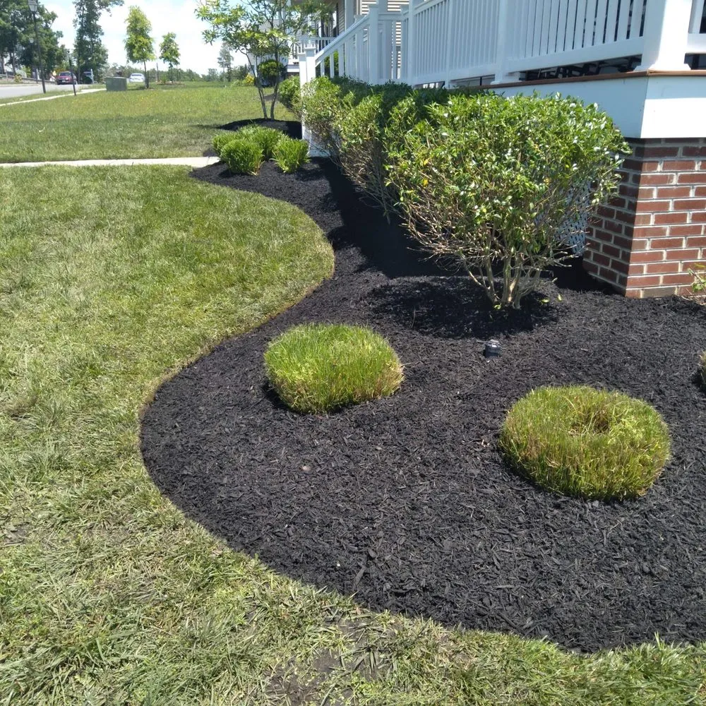 Professional lawn care service in Egg Harbor City, NJ - Land Dezigning