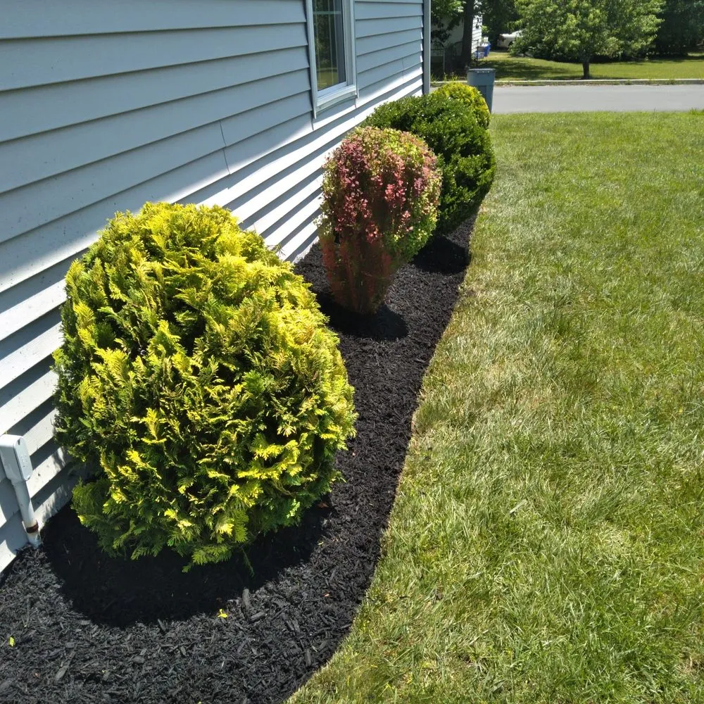 Reliable lawn care service in Egg Harbor City, NJ - Land Dezigning