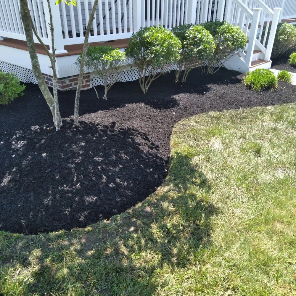 Local yard maintenance for residential properties across Egg Harbor City, NJ - Land Dezigning