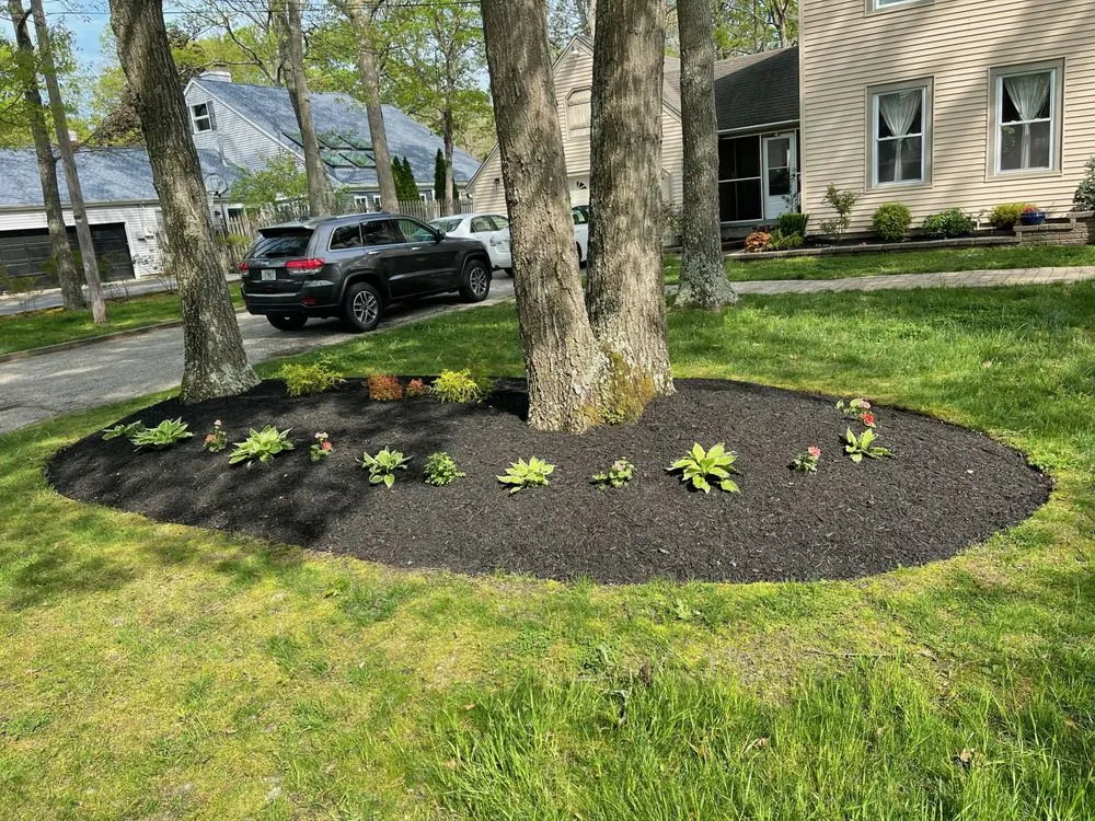 Top-rated lawn mowing service near you in Egg Harbor City, NJ by Land Dezigning