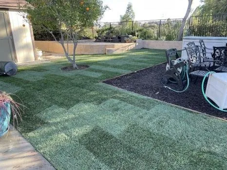 Local yard maintenance in Lake Forest, CA - Land Disview