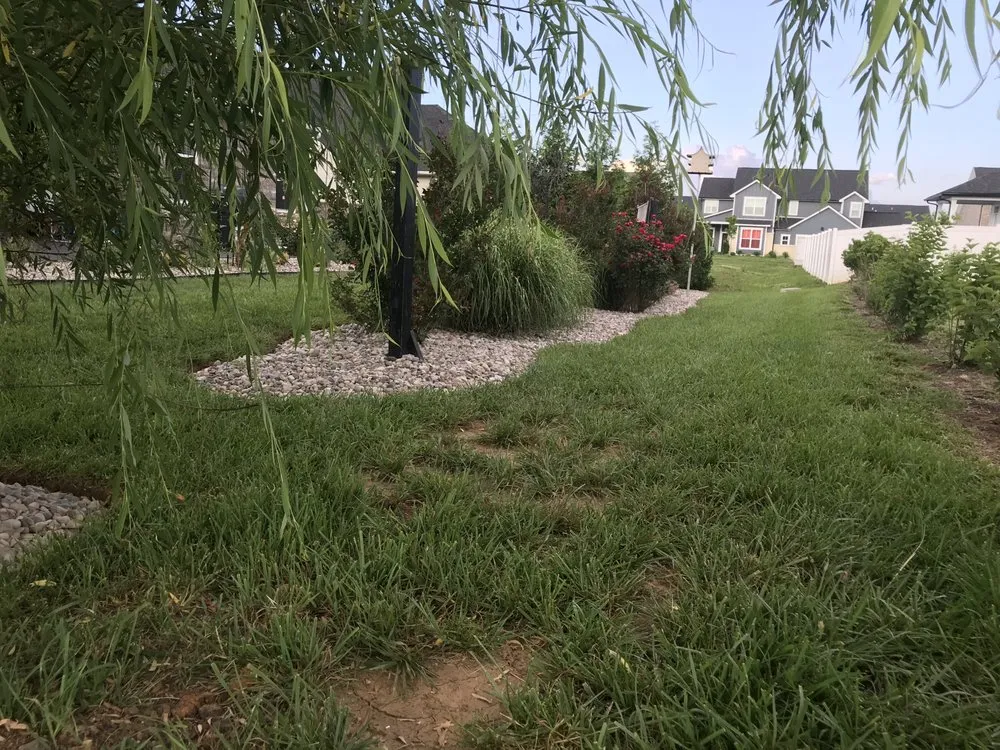 Professional lawn care service experts serving Beechgrove, TN - Land-E-Scapes