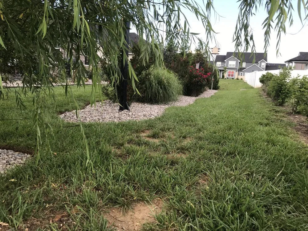 Professional landscape installation with custom design across Beechgrove, TN - Land-E-Scapes