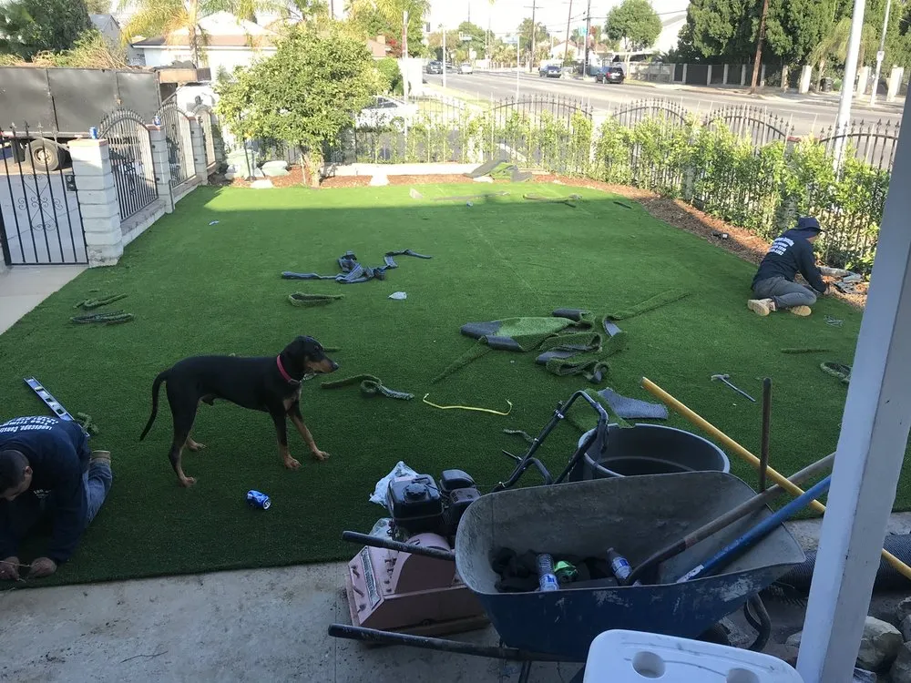 Expert lawn care service near you across Los Angeles, CA - Land Eco Development